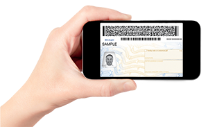 Driver License help