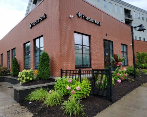 elmira branch